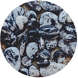 buffalo turquoise stones